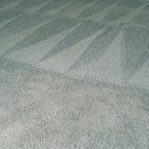 carpet spot removal